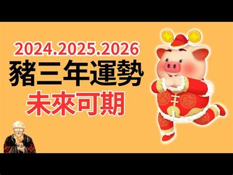 2024生肖豬運勢 水厄 意思